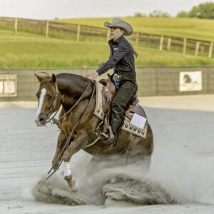 Suzanne Myers Performance Horses